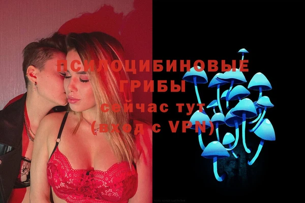 дмт Балахна