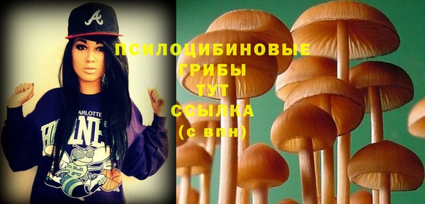 каннабис Баксан