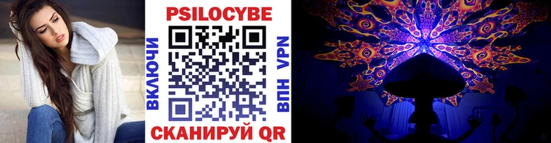 Псилоцибиновые грибы Cubensis  Купить  Саки 